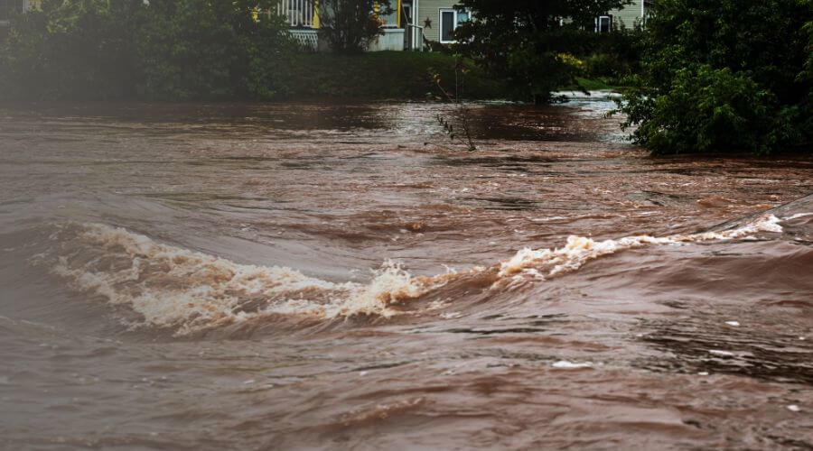 Why choose water damage restoration service for commercial water damage restoration in Santa Maria